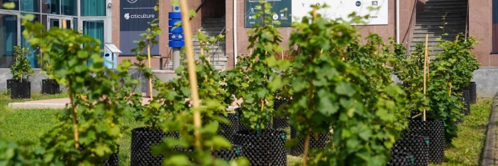 Citiculture - Campus Grapes Politecnico