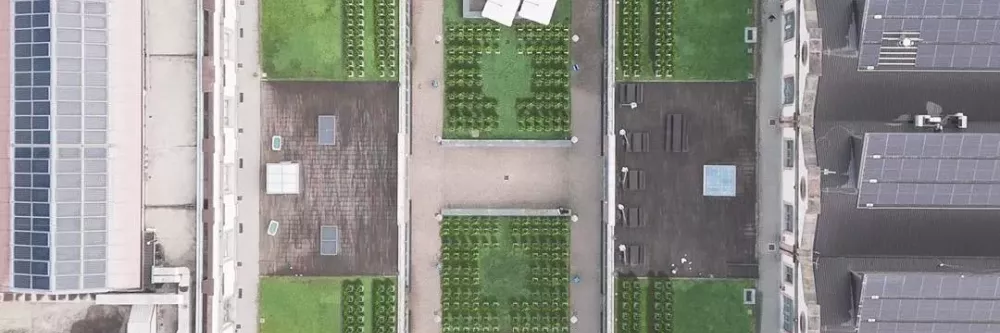 Citiculture - Campus Grapes Drone