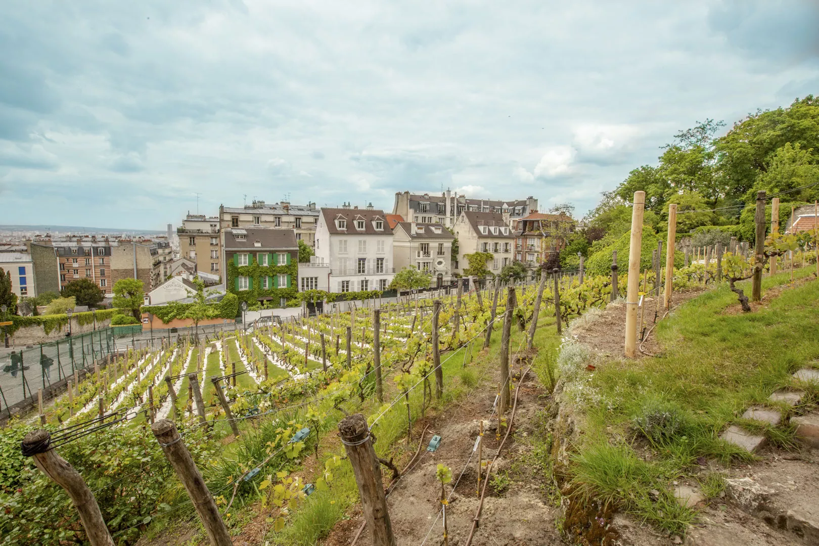 Clos Montmartre