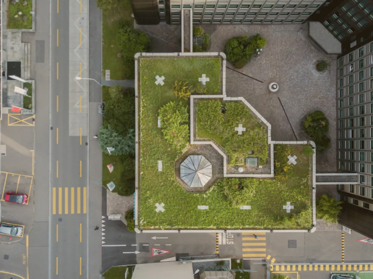 Rooftop
