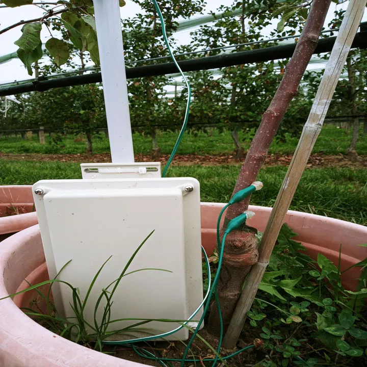 Plant Health Monitoring