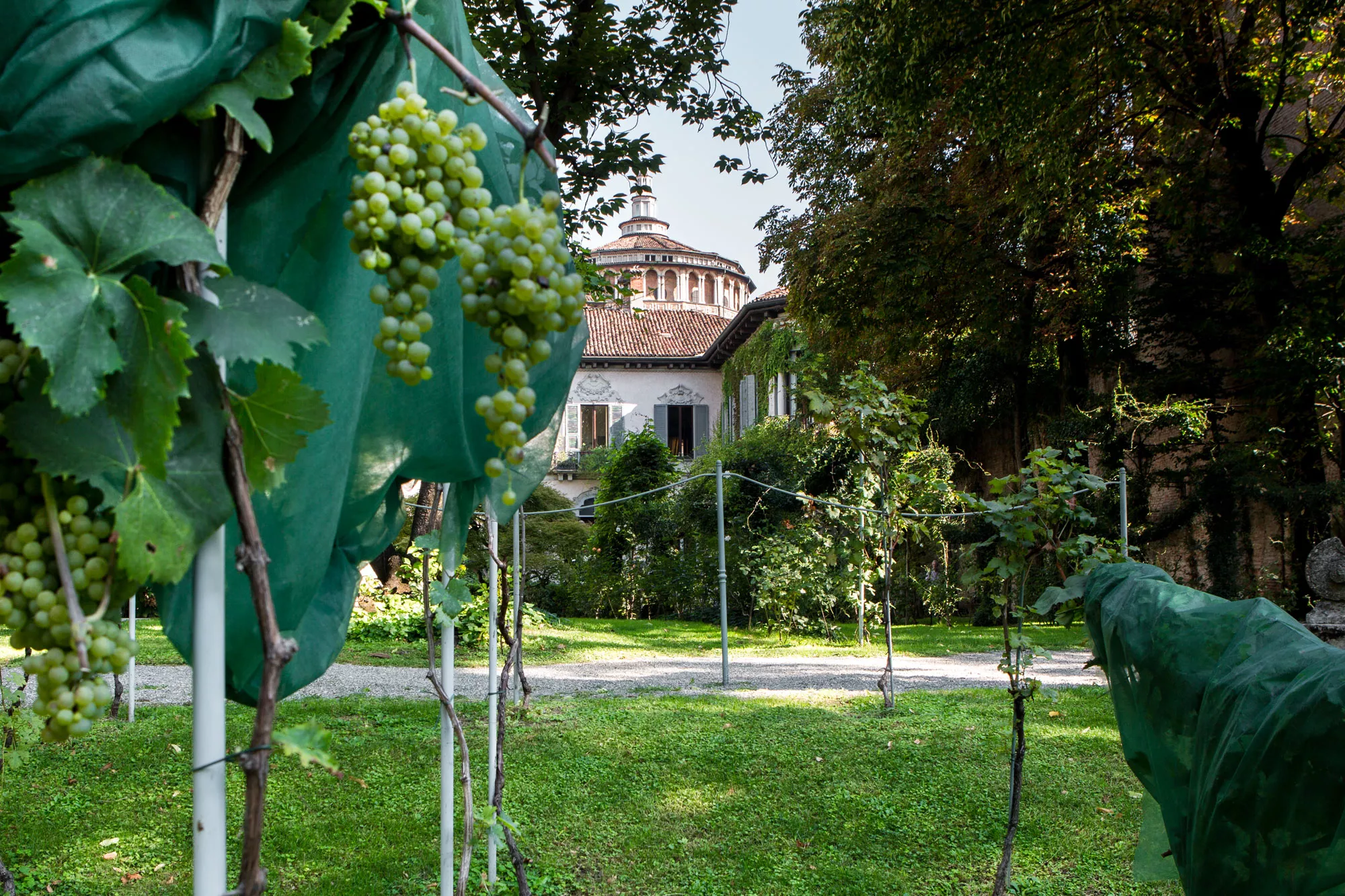 Citiculture - Adoption