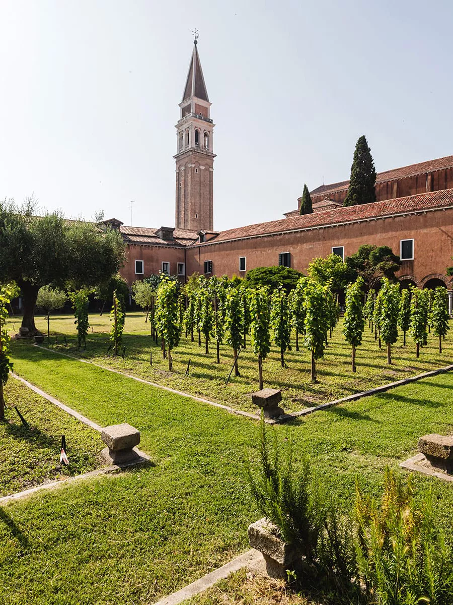 Citiculture - Urban Vineyards Association