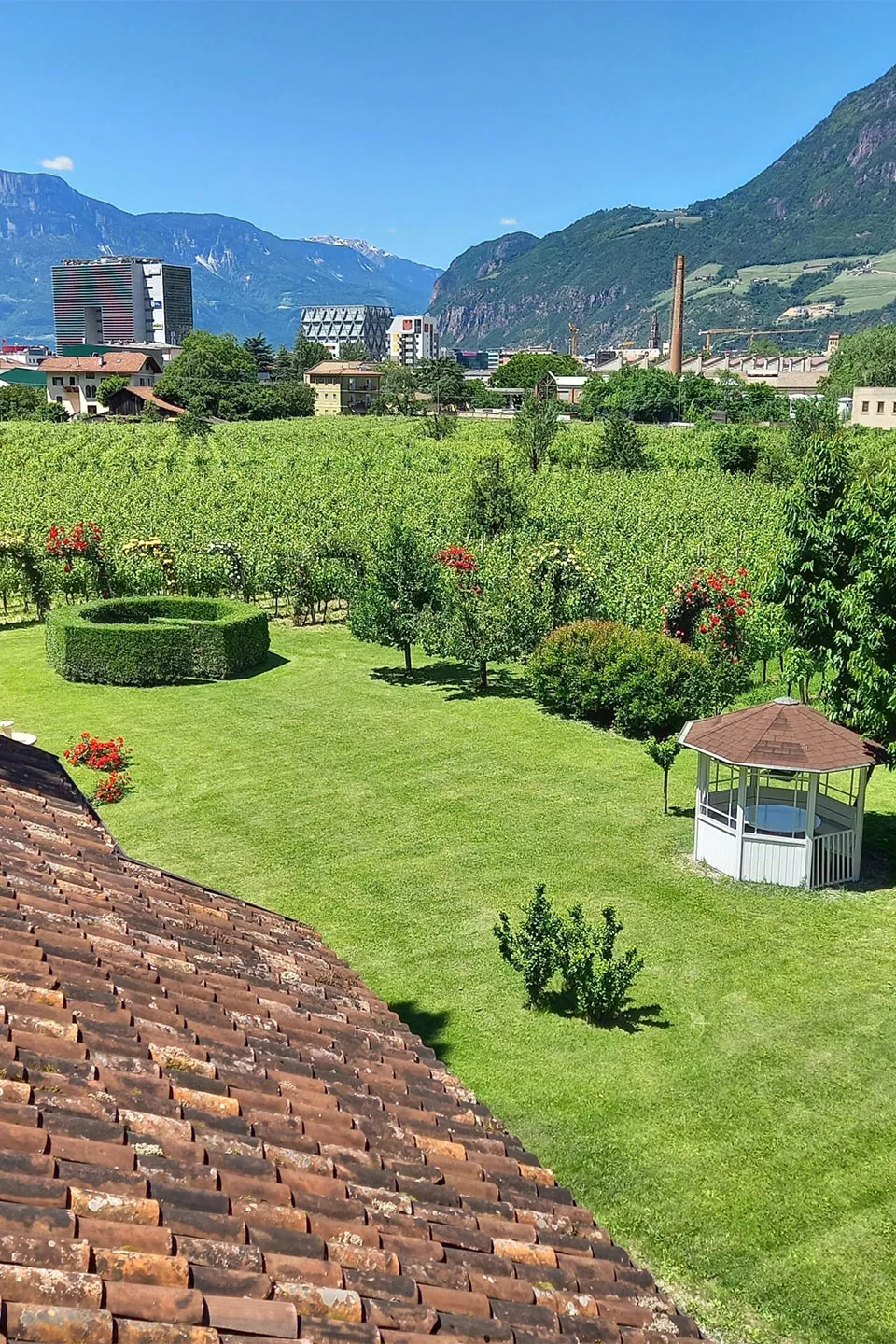 Citiculture - Urban Vineyards Association