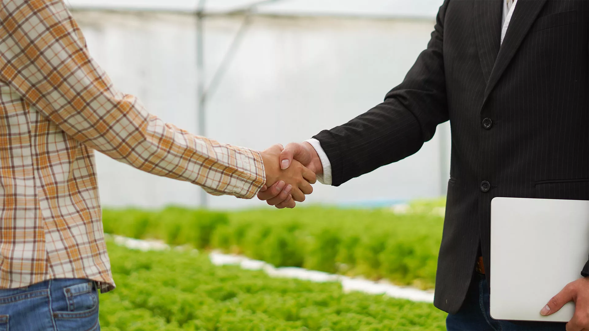 Citiculture - Investitori