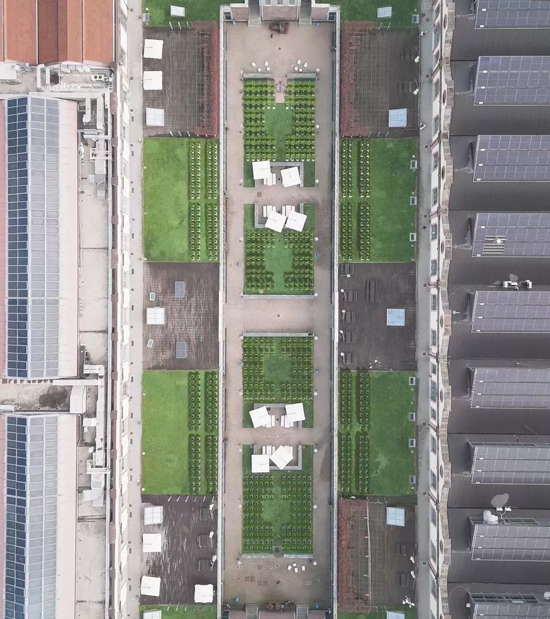 Citiculture - Campus Grapes Drone