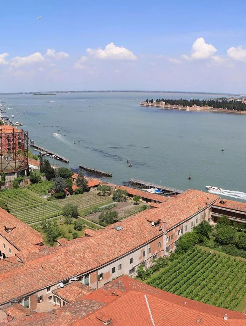 Citiculture - Urban Vineyards Association